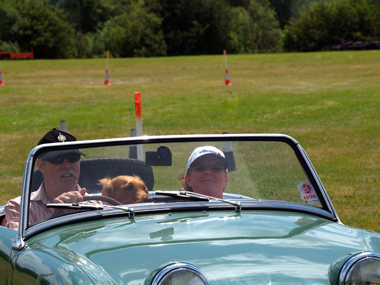 THREE IN A FROG AUTOTEST WINNERS